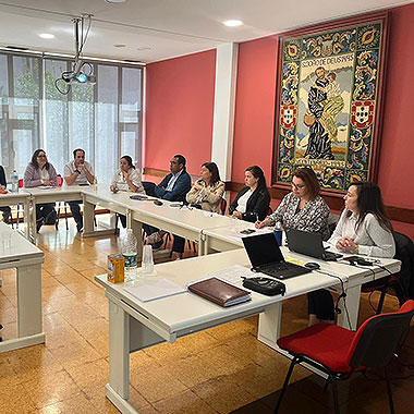 Meeting of the Sensing groups – Portuguese Province / Fatebenefratelli Meeting of the Sensing groups – Portuguese Province